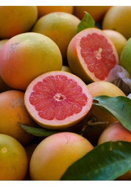 KIRMIZI GREYFURT 1 KG(ÜRETİM SEZONU KAPALI)