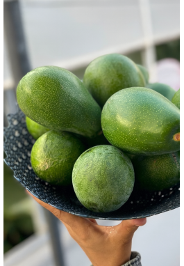 AVOKADO 1 ADET