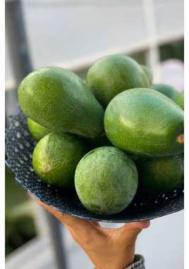 AVOKADO 1 ADET