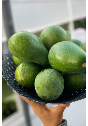 AVOKADO 1 ADET