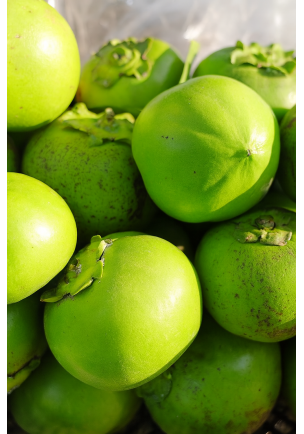 ÇİKOLATA MEYVESİ (ÜRETİM SEZONU KAPALI)