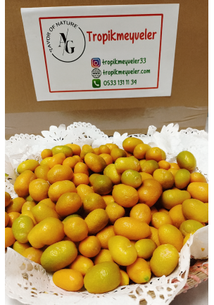 KAMKAT 500GR (ÜRETİM SEZONU KAPALI)