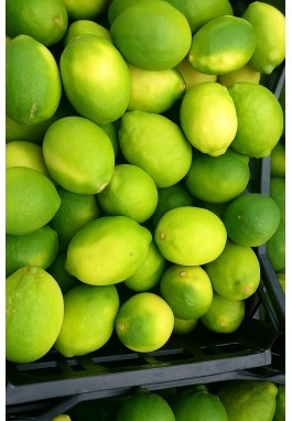 DİKENLİ LAMAS LİMONU