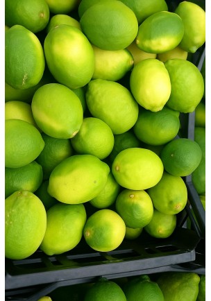 DİKENLİ LAMAS LİMONU