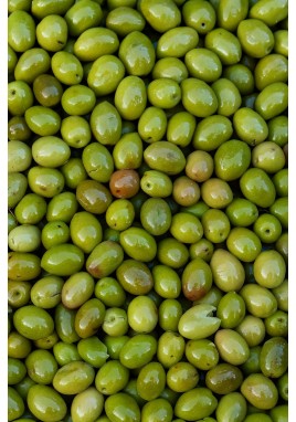 KIRMALIK YEŞİL ZEYTİN 