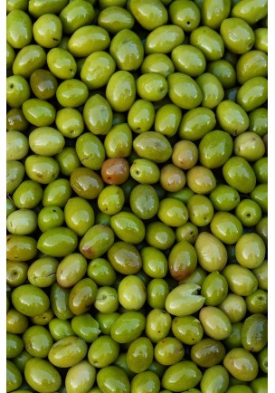 KIRMALIK YEŞİL ZEYTİN 