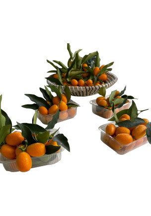 KAMKAT 500GR (ÜRETİM SEZONU KAPALI)