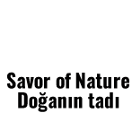 Tropik Meyveler